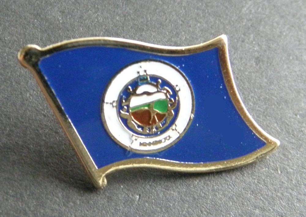 MINNESOTA US STATE SINGLE FLAG LAPEL PIN 7/8 inch