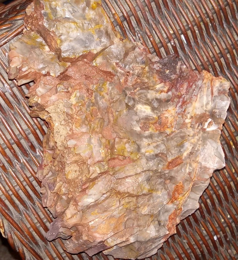 Petrified Rainbow Wood Rough AZ 2 lbs+