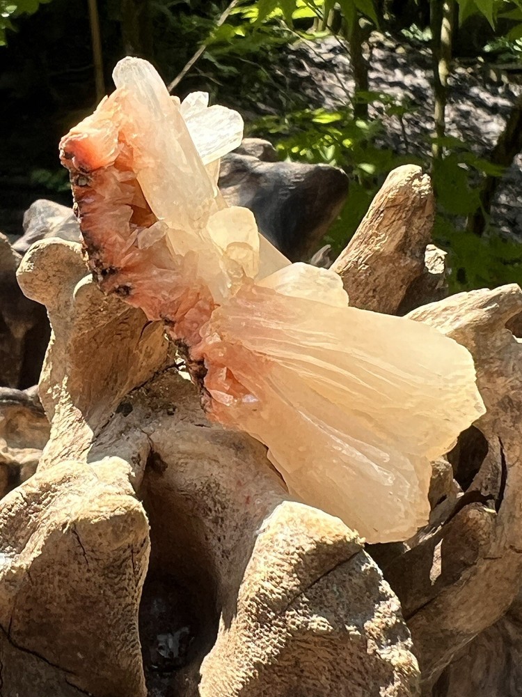Orange Heulandite Cluster Bed Bright Colouring AAA+ Stillbite 22