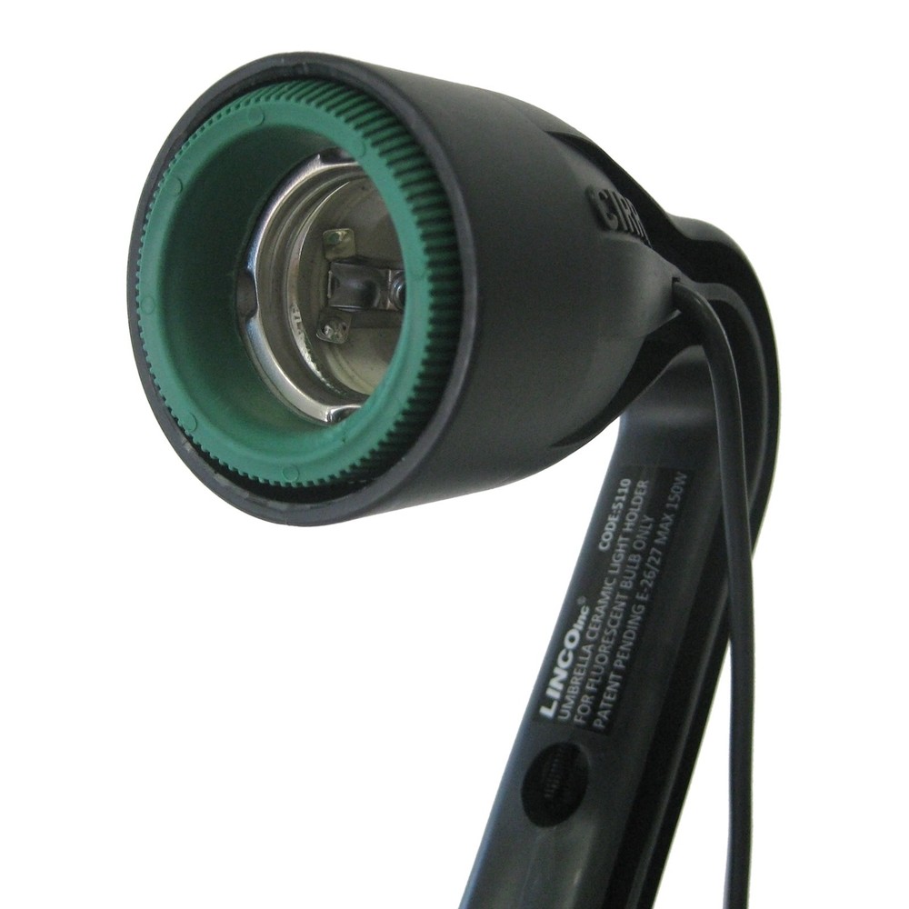 Professional Studio AC Socket Light Stand Mount Umbrella Holder NEW