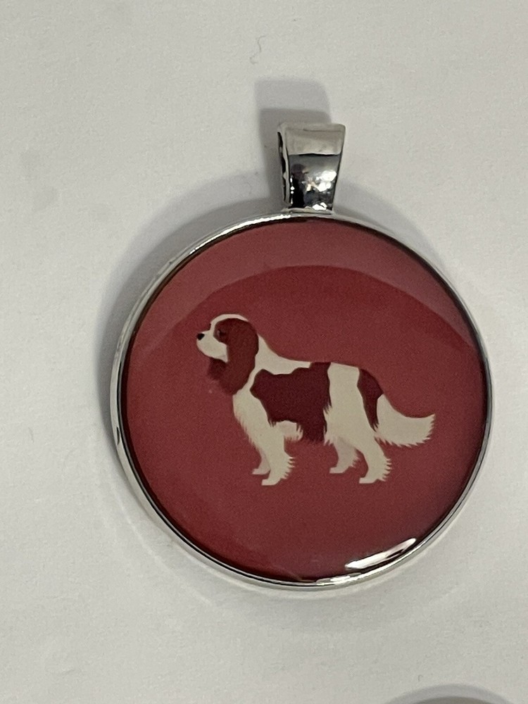 DISONTAG QR Code Dog Tag ID Tags for Pets Name Tag