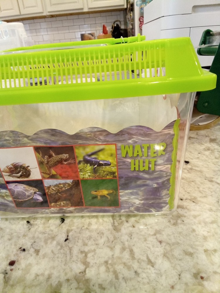 Toysmith Backyard Water Hut