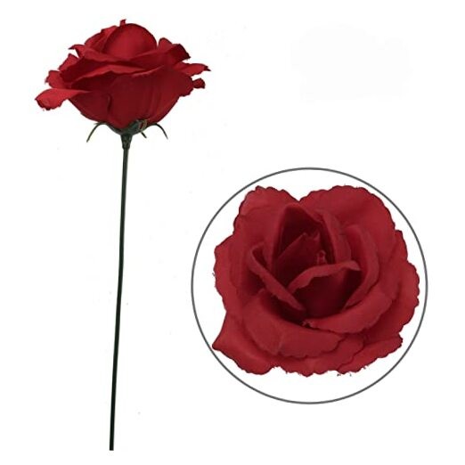 Carnations (Roses) 50 Burgundy