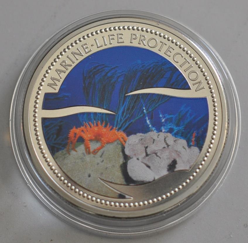 Crab 2003 Palau Cuni