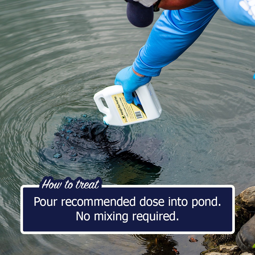 Midnight Blue Pond Dye Concentrated Quart