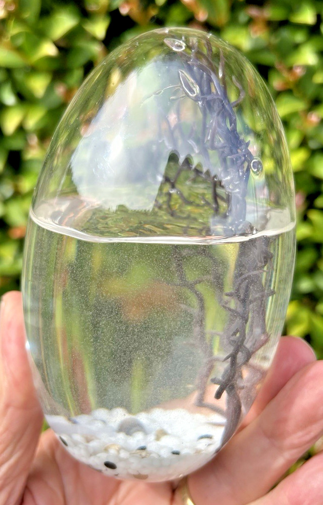 5" GLASS EGG-SHAPED CLOSED SYSTEM ECOSYSTEM shrimp ECOSPHERE self-sustaining