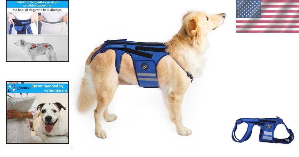 Reflective Dog Back Bracer for Arthritis Relief, Blue-Medium