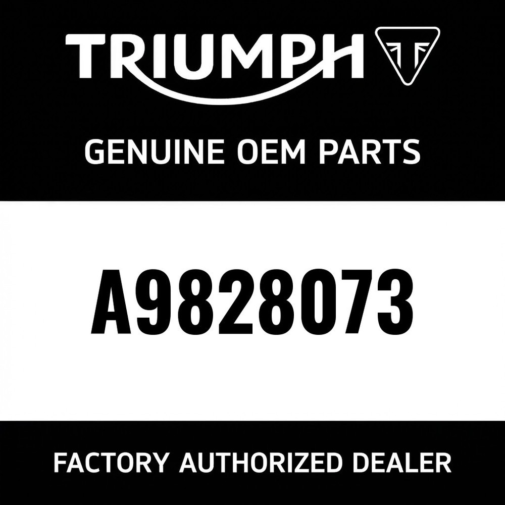 Triumph A9828073 - 5V USB Charger Kit
