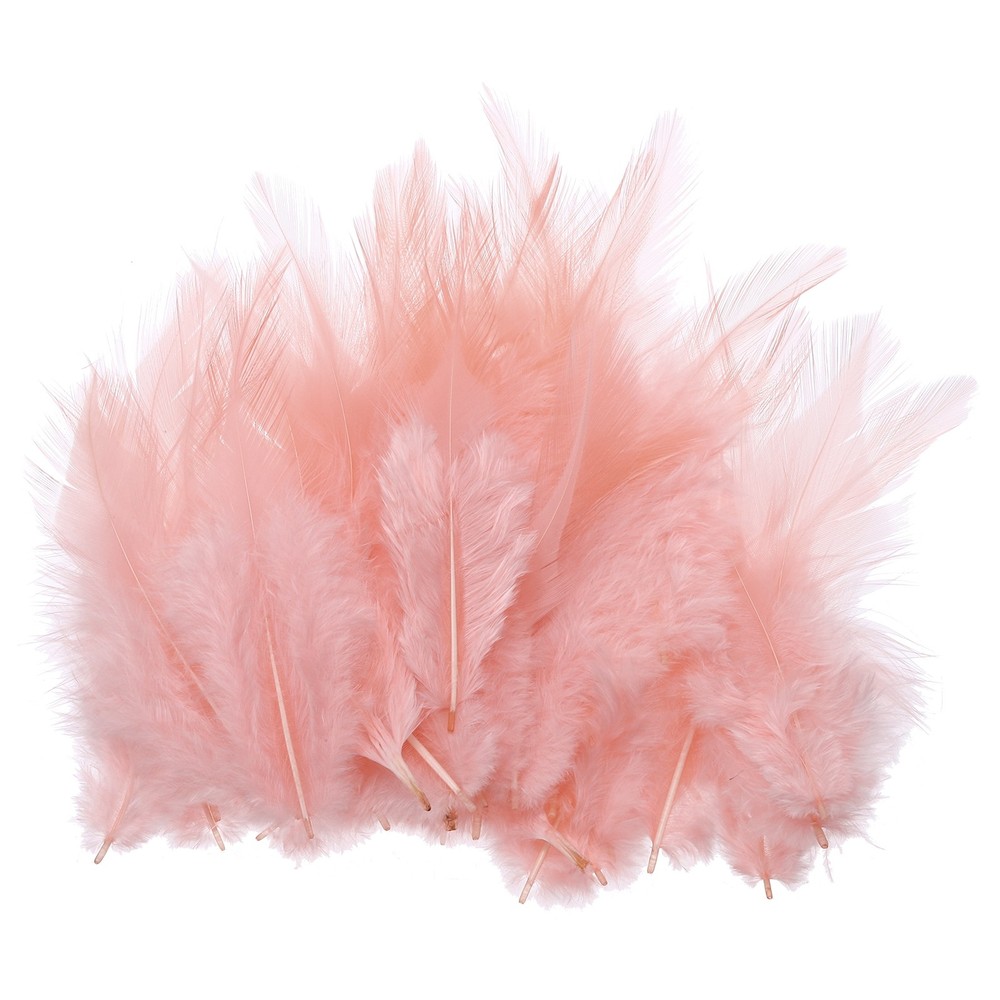 200 Pcs 3-5" Rooster Feathers Bulk Natural Feather for Crafts Champagne