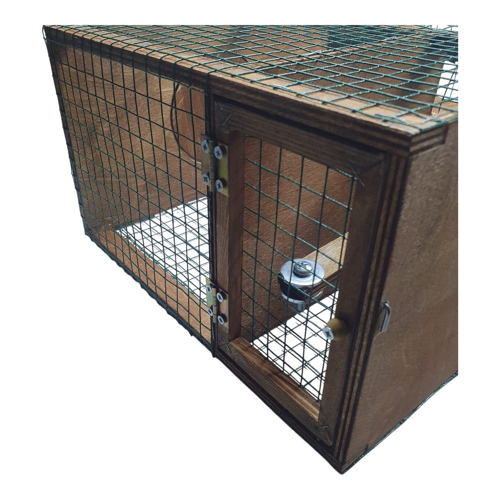 Strong Model Sparrow Bird Trap. Non Stop Condition. Elevator Type Trap Bird Live