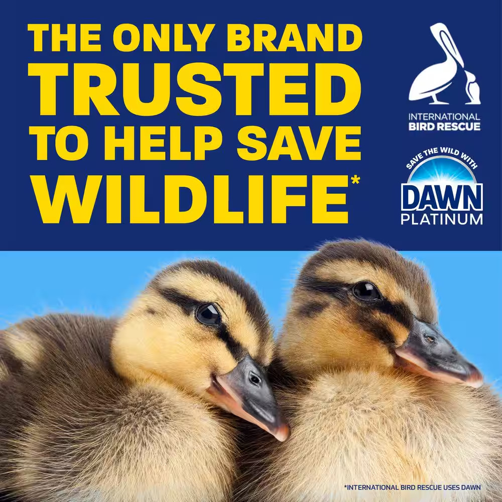 Platinum Refreshing Rain Scent Liquid Dish Soap