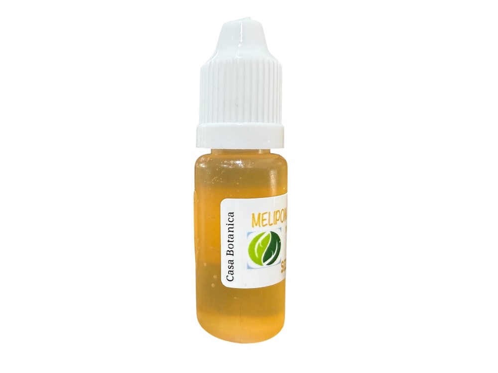 Melipona Honey 10ML