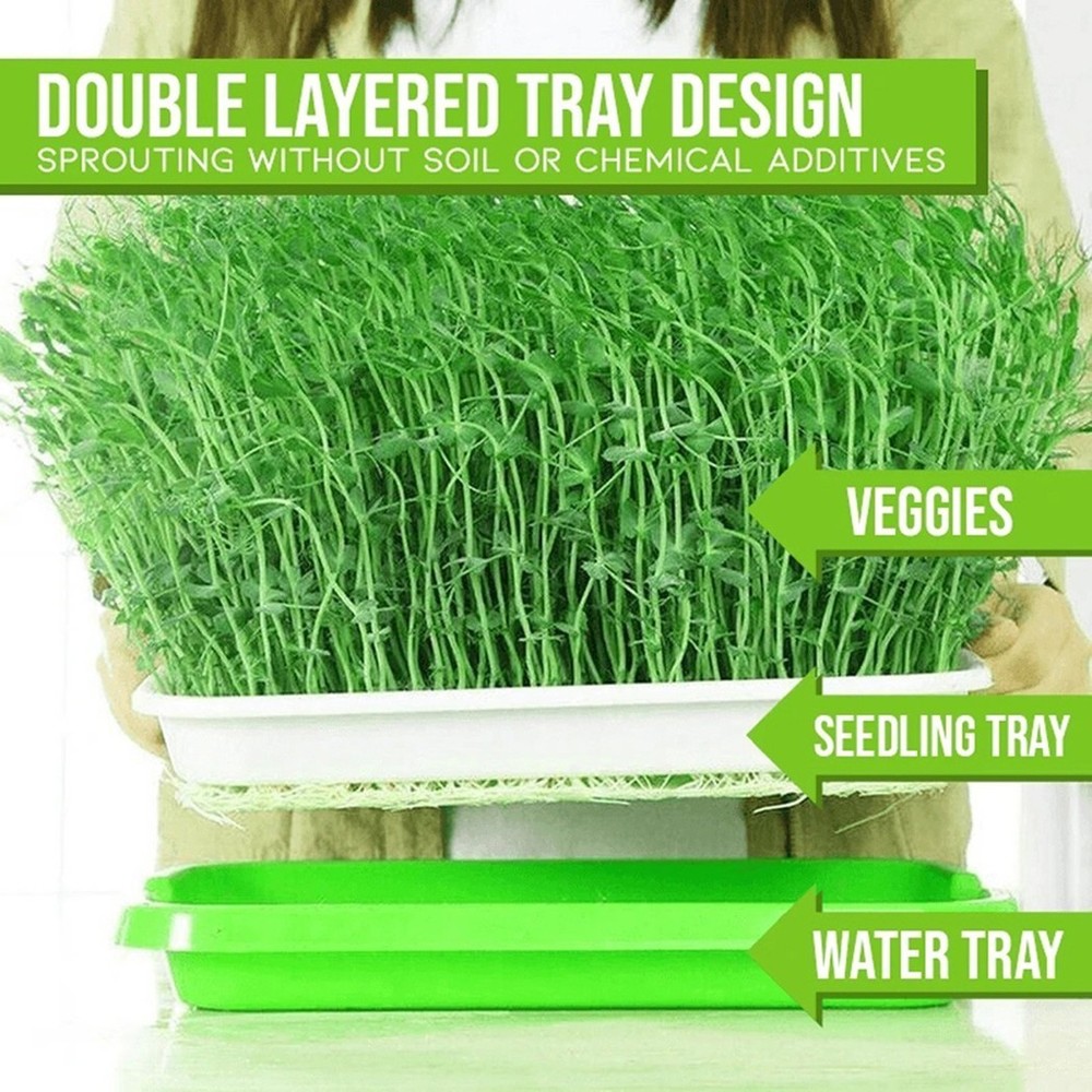 Microgreens Growing Tray Green with Second White Mesh Layer for Sprouting