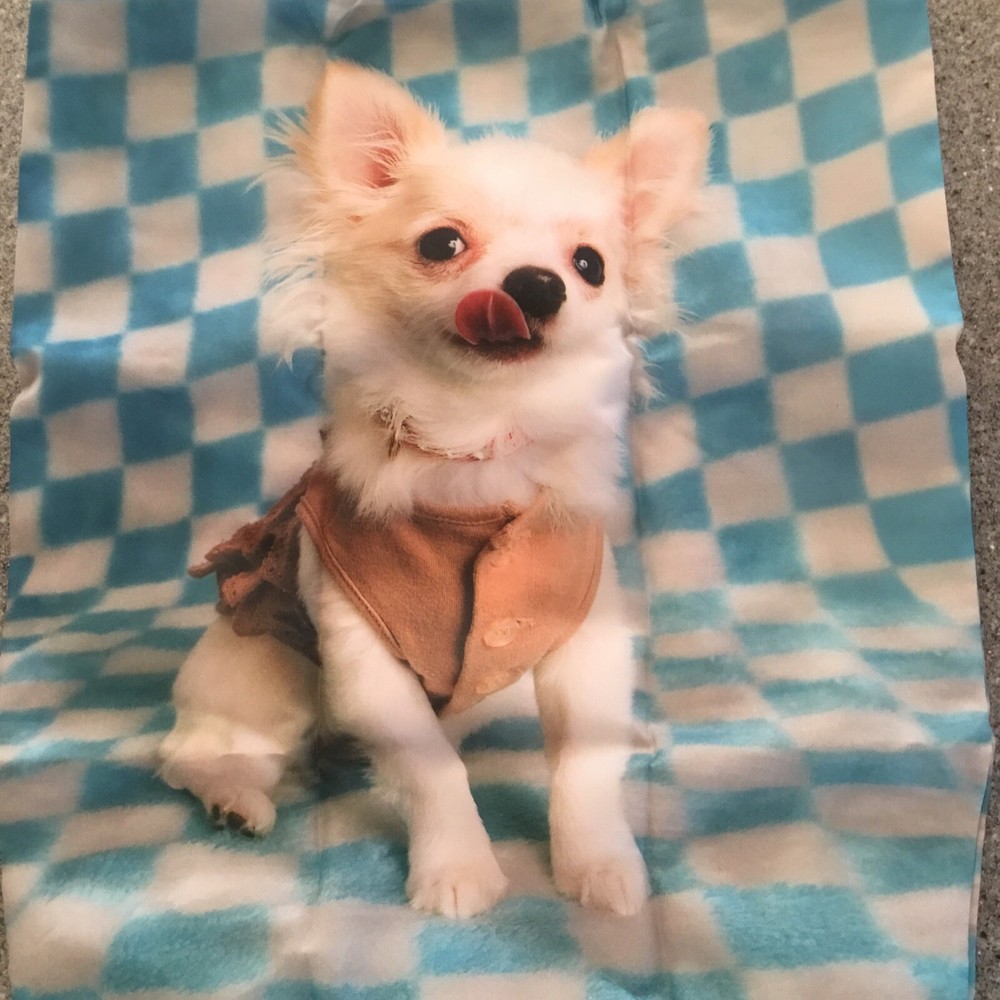 Roo-Shopper - Tote- Chihuahua- NWT