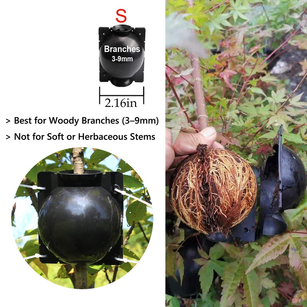 Tree Root Growing Box 10pcs Air Layering Propagation Ball Kit