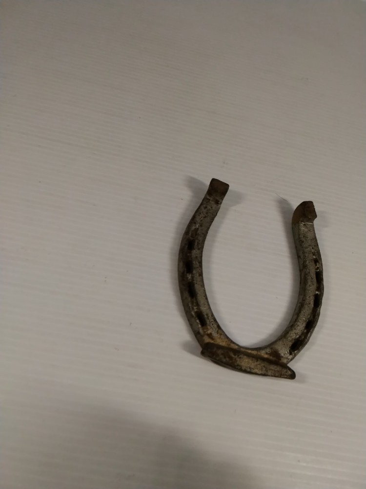 horse shoe