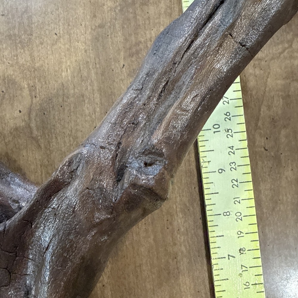 Driftwood Art Or Decoration