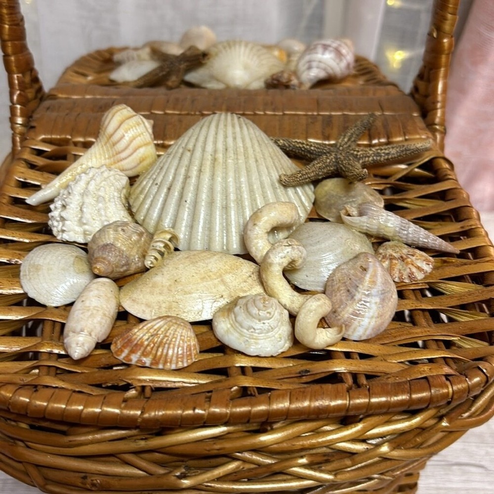 Double Lid Handle Picnic Basket with shells