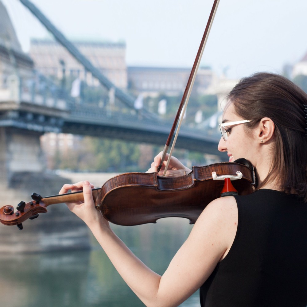 Violin Shoulder Rest