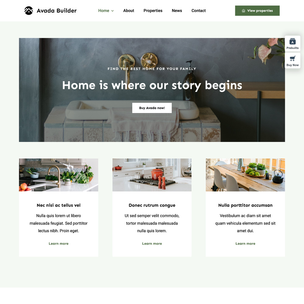 🏗️ Builder Website Design for Sale with Free VPS Web Hosting