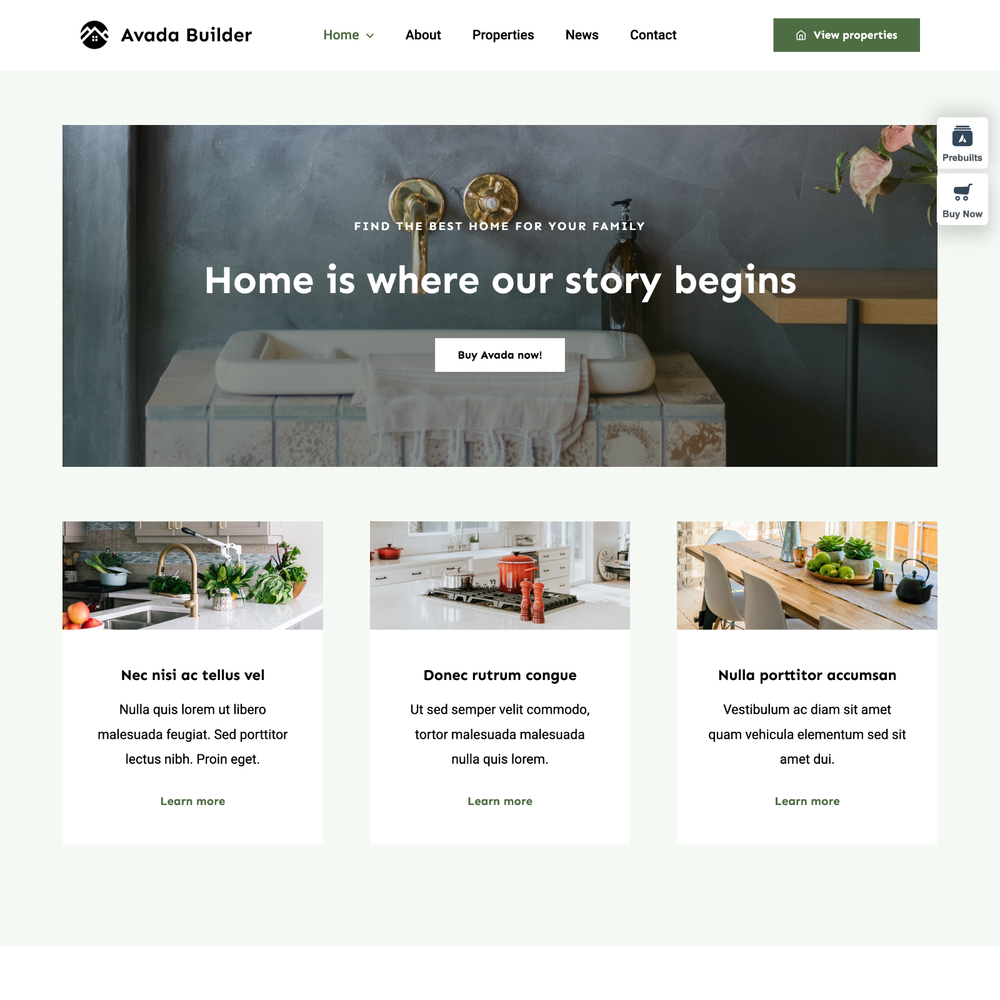 Builder Website Design with Free VPS Web Hosting and Installation