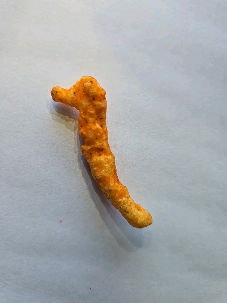 Sea Horse Shaped Cheeto