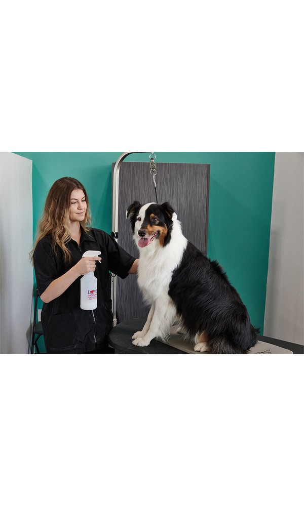 Groomer Essentials Sprayer Dilution Bottle