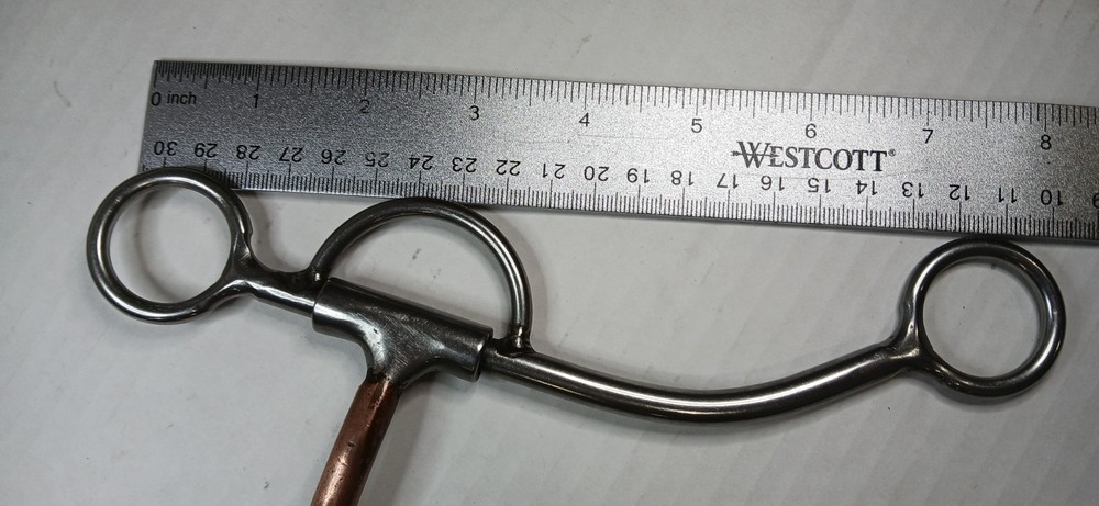 Bit Master BM 5” Shank Bit w/ Leather Curb Strap – Polished