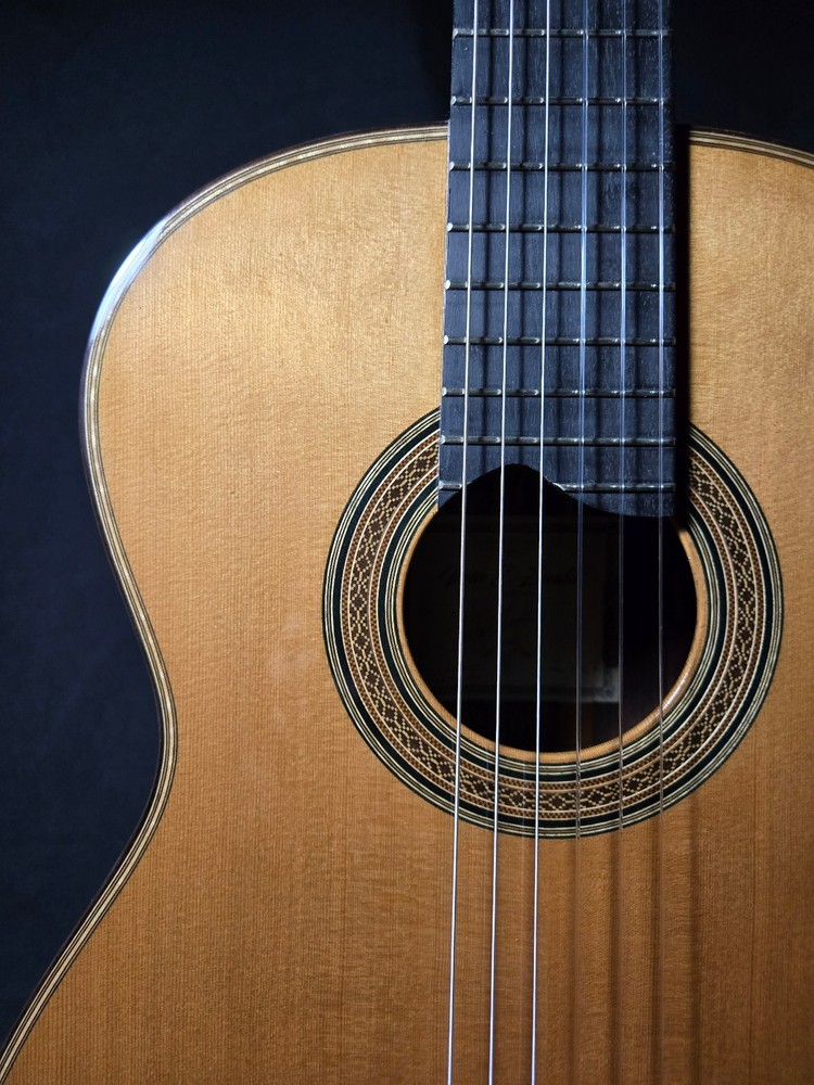 Lattice Bracing Concert Classical Guitar