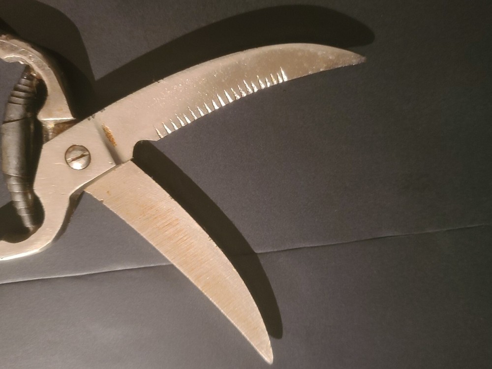 Vintage Poultry Chicken Shears Scissors Kitchen Tool Spring Opening UNMARKED