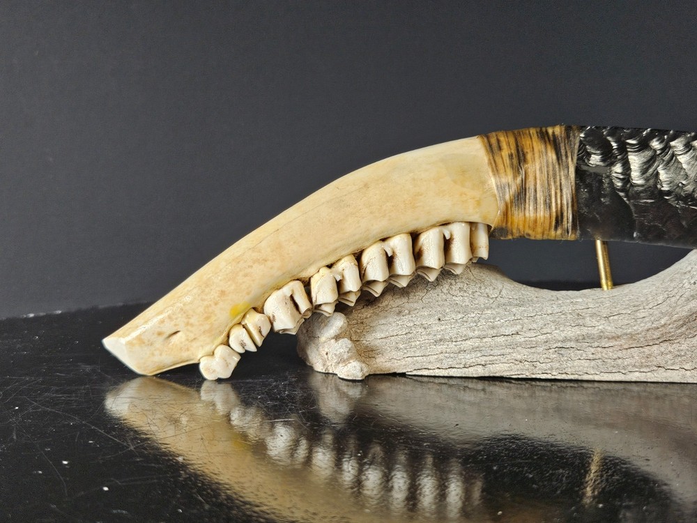 MASTER fog KNAPPER KENNY HULL Perfect Flaking Obsidian Knife~Deer Jawbone~SHARP