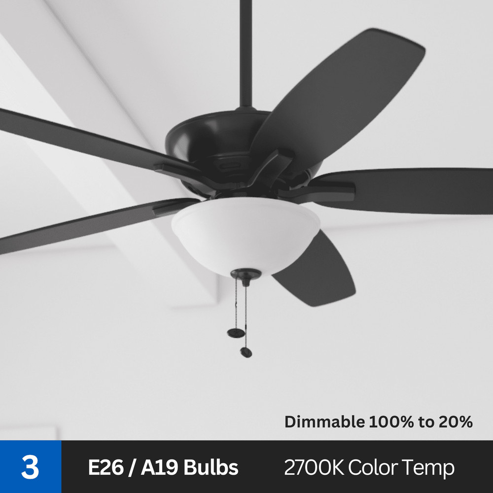 60" Black Ceiling Fan with Light, 5 Blades, Reverse Airflow, Pull Chain Control