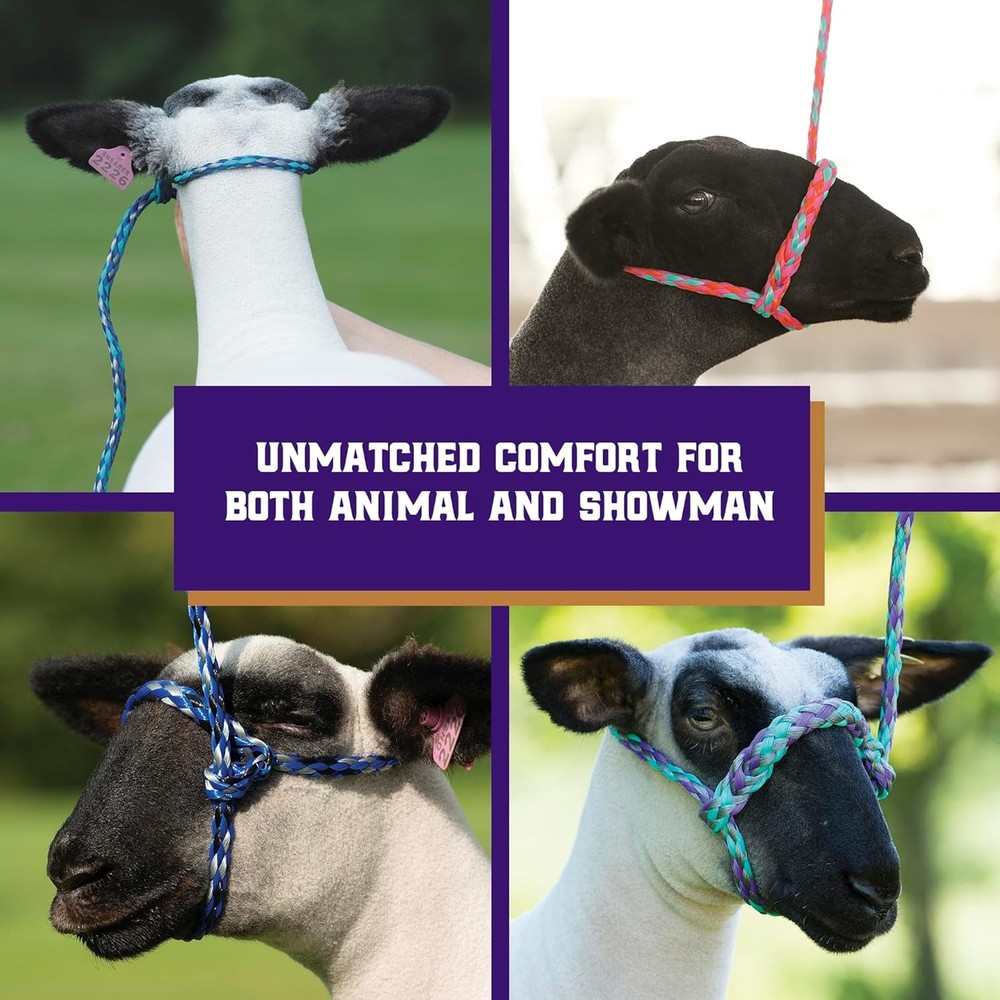 Weaver Soft Braid Rope Halter 4ft Modern Livestock Sheep