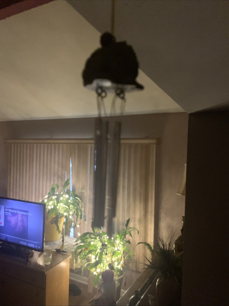 Frog Wind chime 6 Inches Length