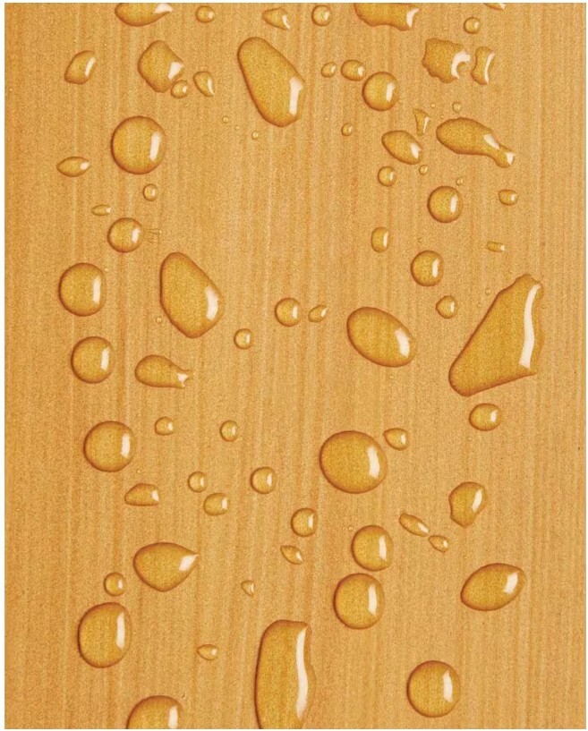 Olympic WaterGuard Clear Multisurface Waterproofer Spray - 11oz.