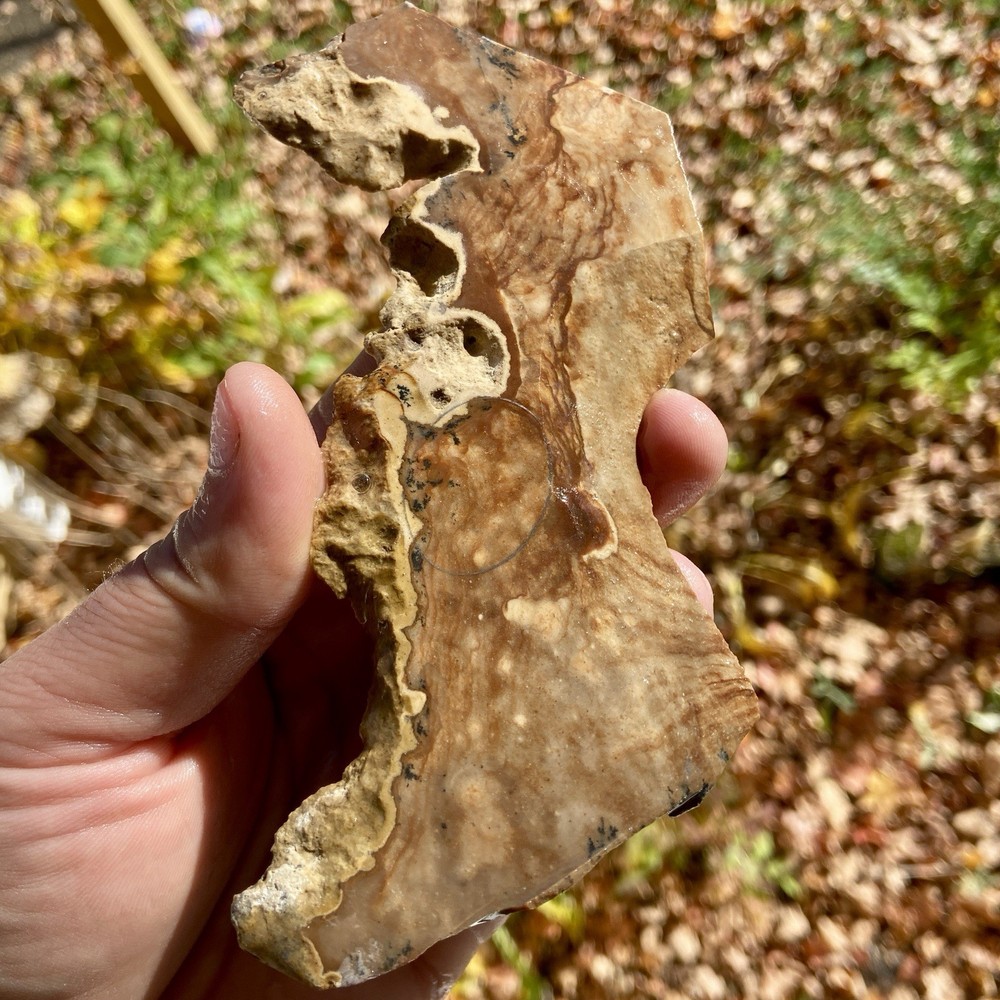 B Grade Biggs Jasper Rough Slab 3 Oz