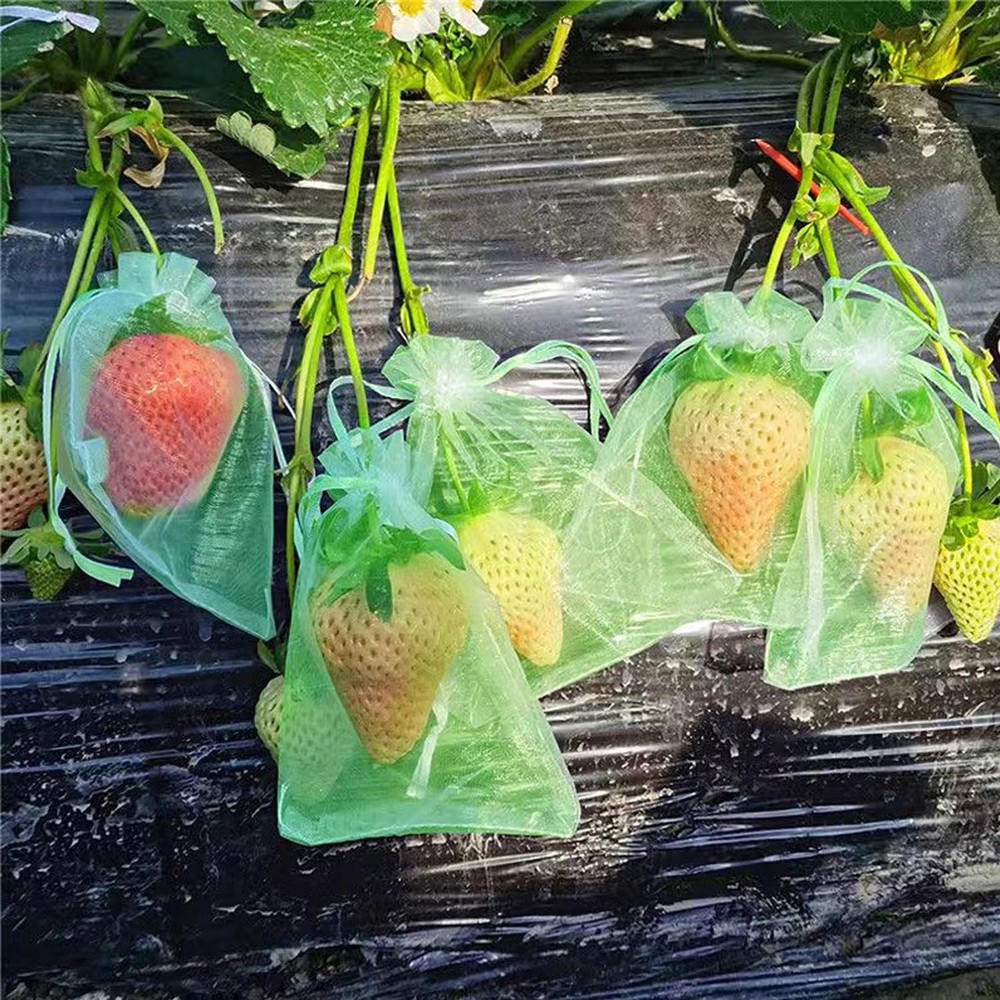 30Pack 3.9x5.9in Drawstring Fruit Mesh Bags for Fruit Trees & Vegetables