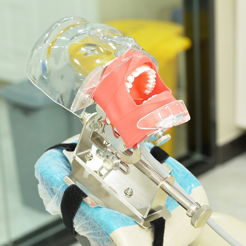 Dental Simulator Phantom Head Model Dental Preparation Support