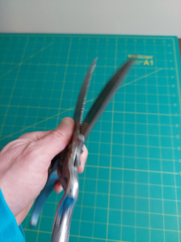 Vintage Angesa Italy 10” Vineyard Grape Poultry Pruning Shears Winery Eagle