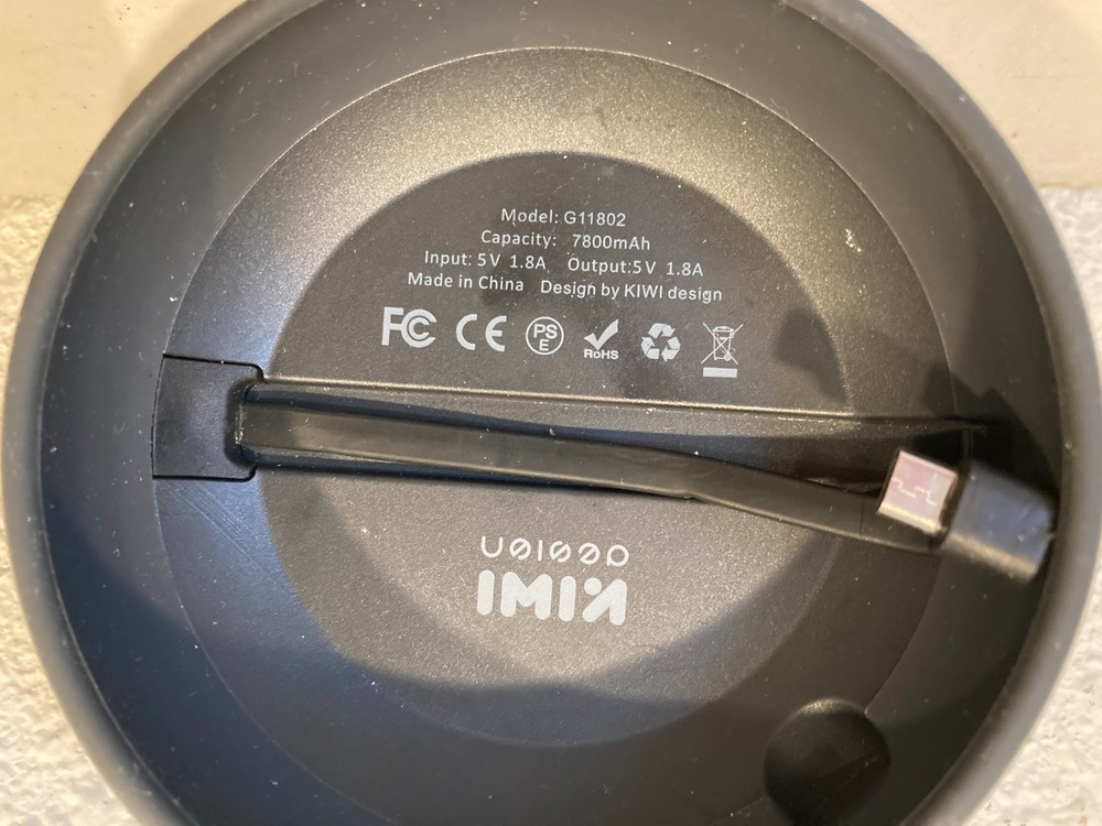 Google Home Mini Smart + Kiwi Battery Base