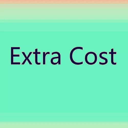 Extra Fee/Shipping Cost  Custom cost or Special service Cost