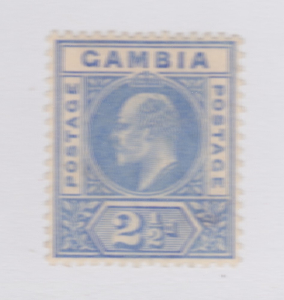 GAMBIA #31 MINT light hinge remnant