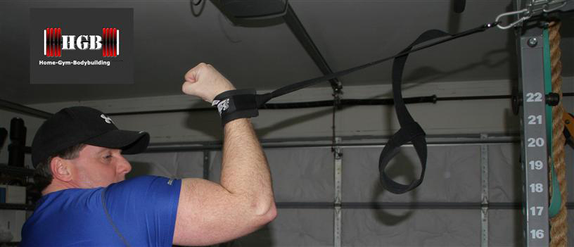 Schiek Model 1400 Ab Strap Cable Crunches Lat Pull Down ATG Reverse Squat NEW