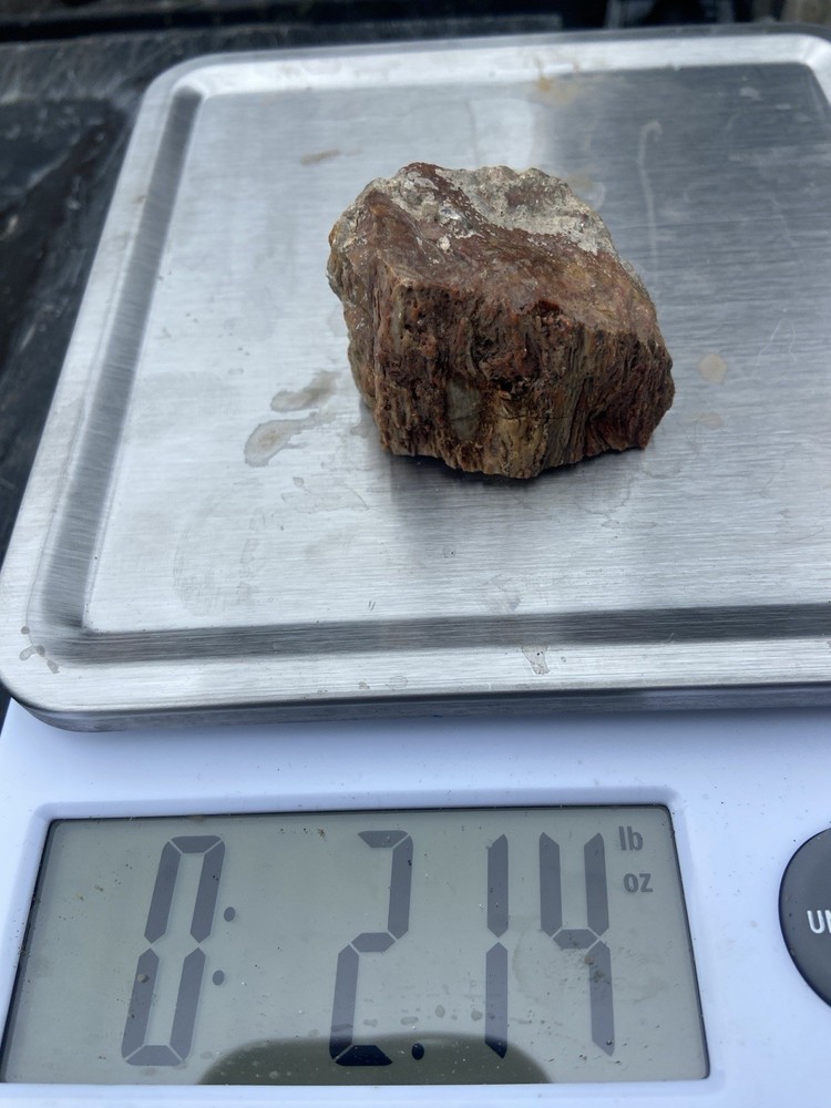 Textured Red Petrified Wood 2 Oz
