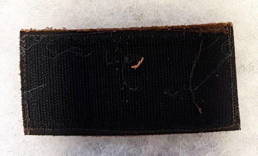 USN A. Odegard LTJG Jacket Name Tag