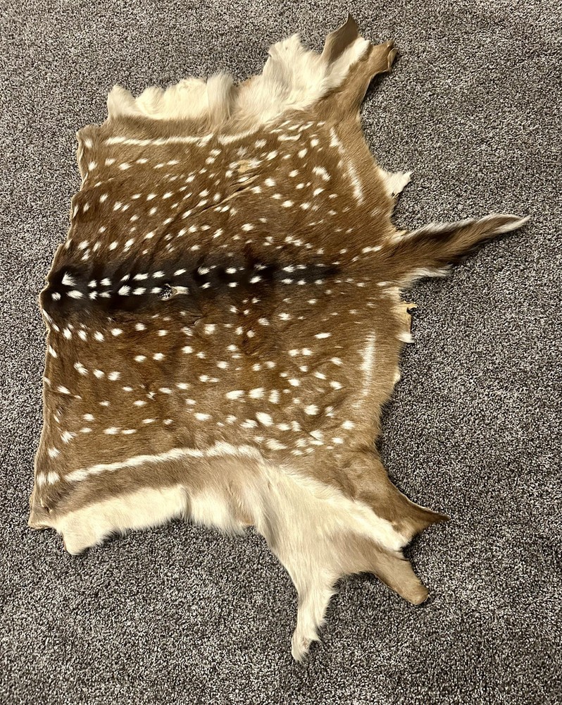 Beautiful Axis Deer Hide 50x37