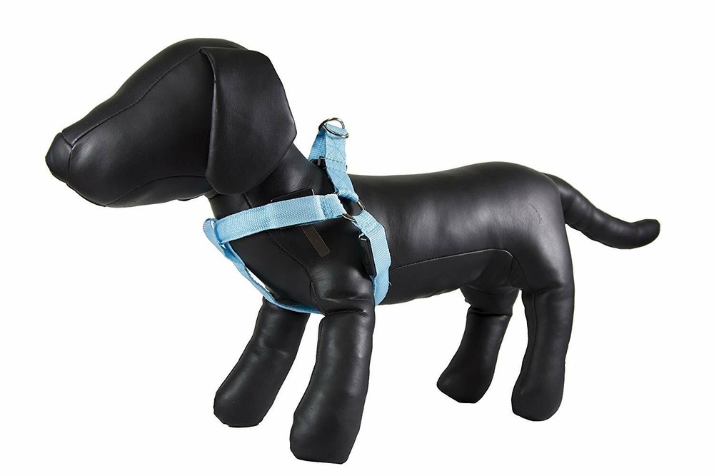 Petcessory LED Step in Harness, Large, Blue
