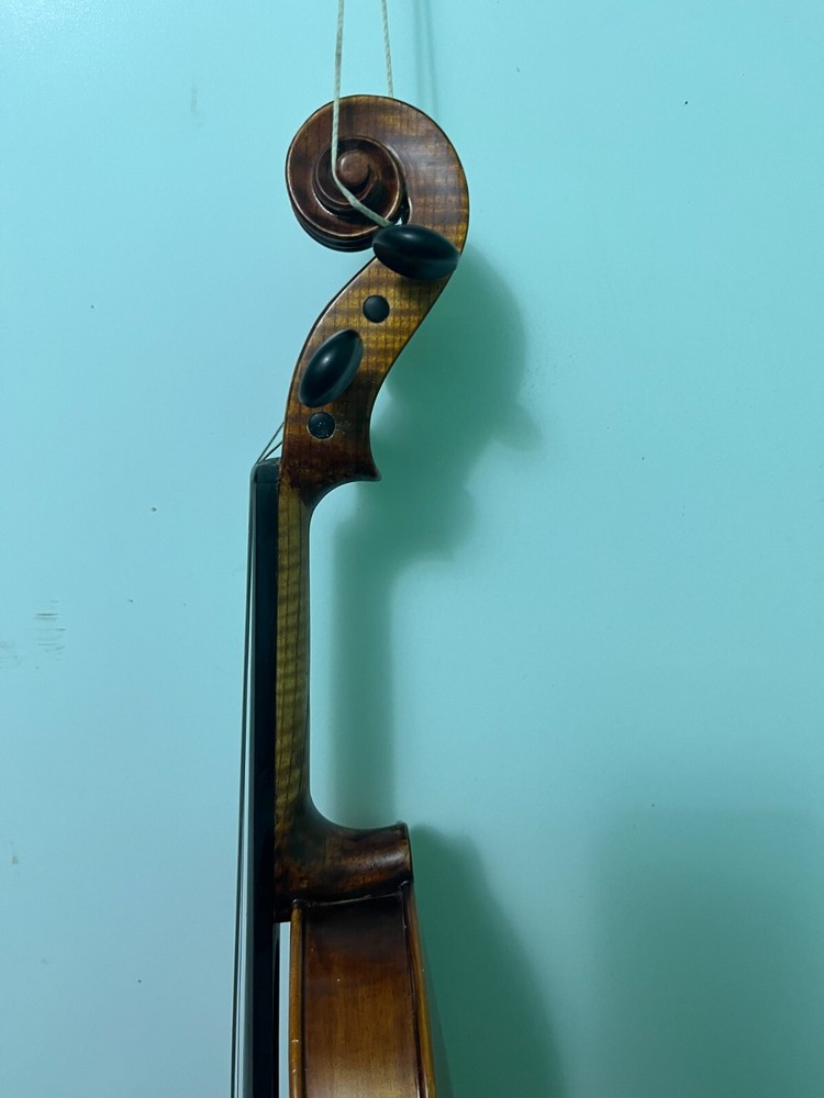 Violin 4/4 Stradivarius Model