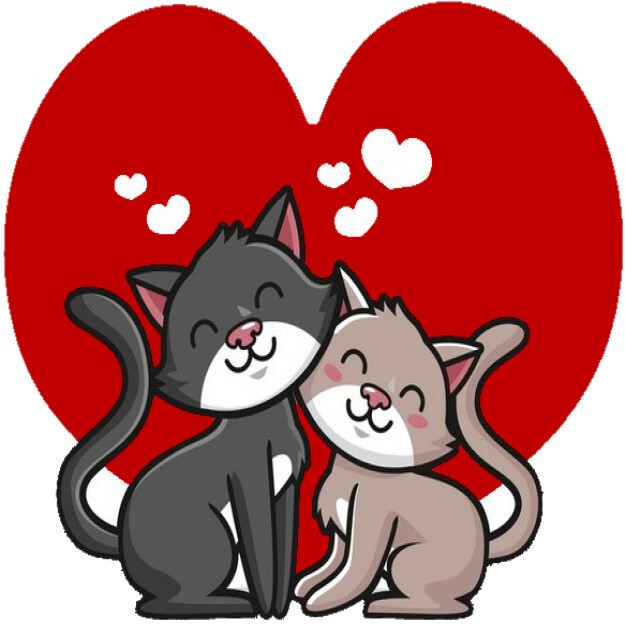 30 Custom Kitty Cat Love Personalized Address Labels