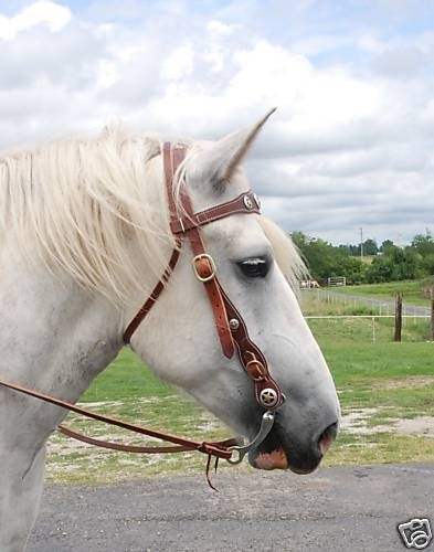 Ultimate Leather Draft Bridle Brown/Black with Reins and Bit